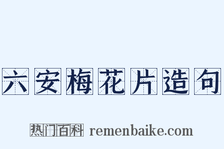 六安梅花片造句是什么意思的图片